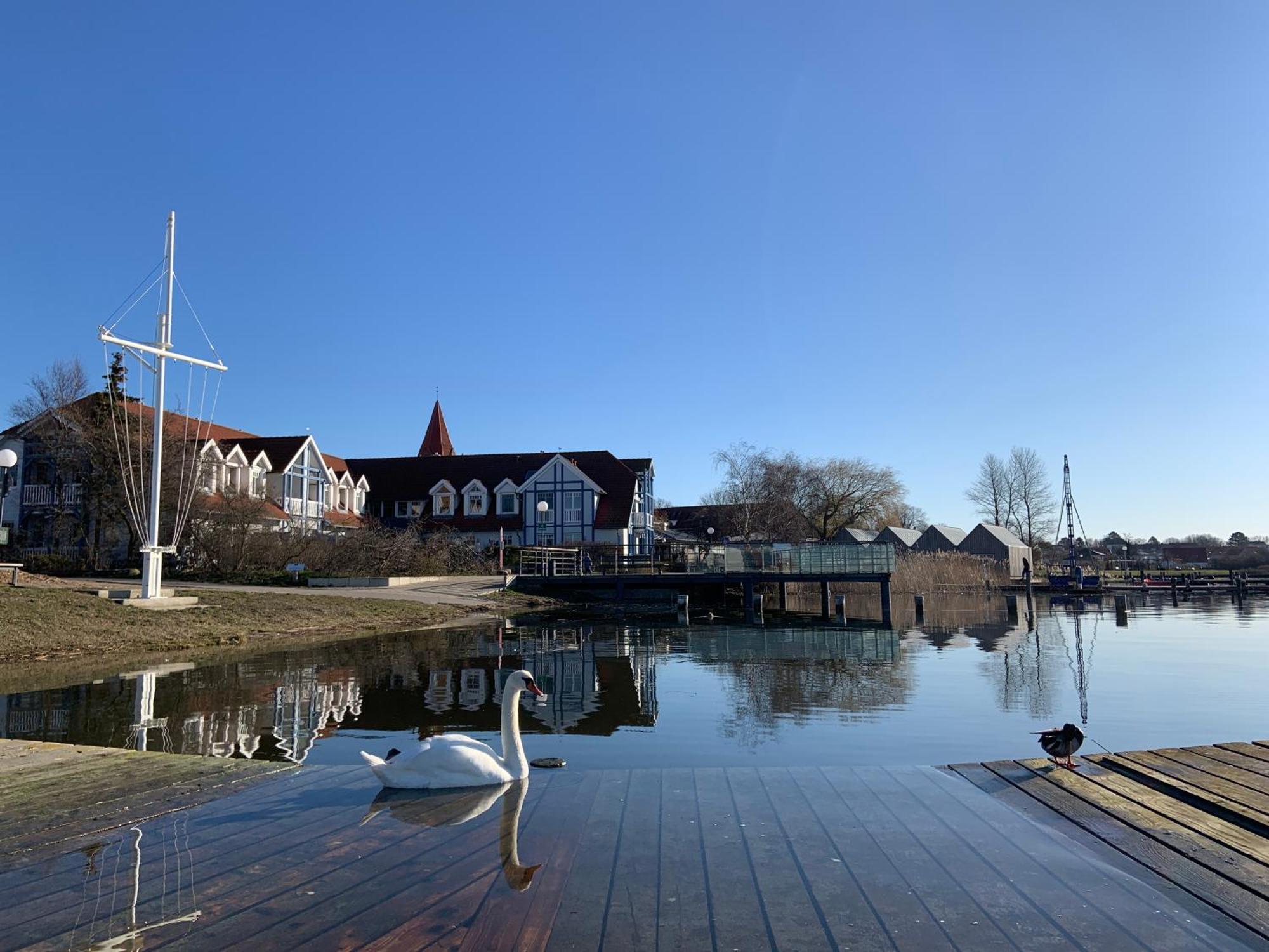 Fewo 27 Strandnahe Ferienwohnung Marlyn Rerik Eksteriør billede